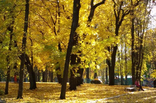 Приглашаем на яркий осенний праздник