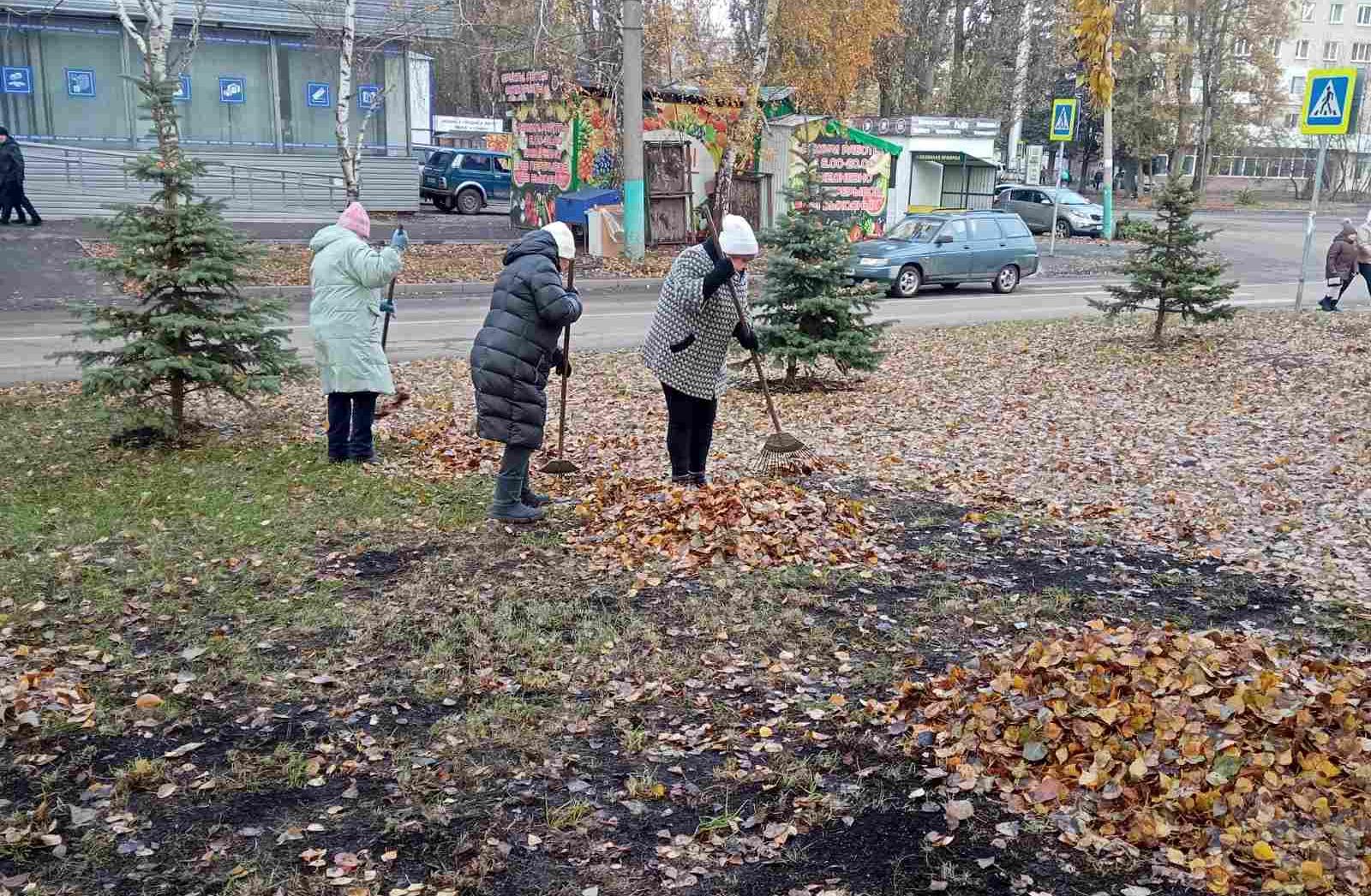 Благоустройство. Ноябрь. 2024