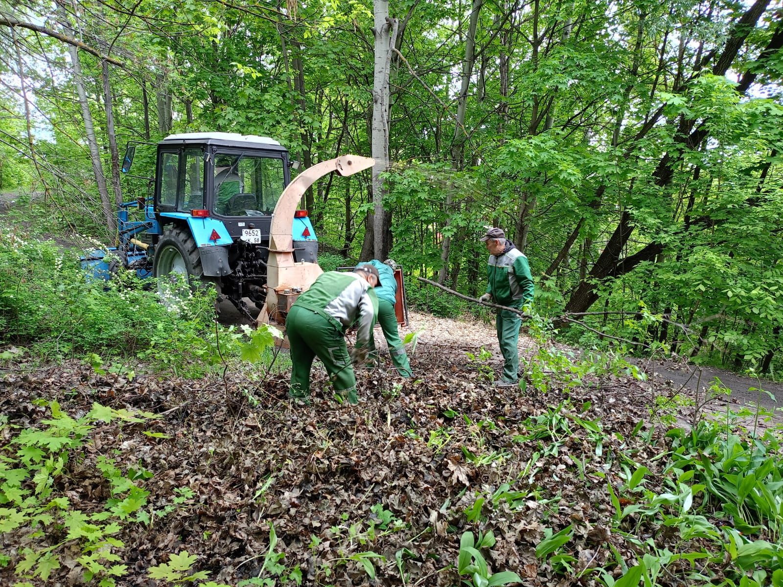 Благоустройство. Июнь. 2025