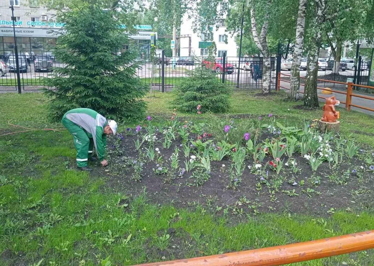 Благоустройство. Май 2024