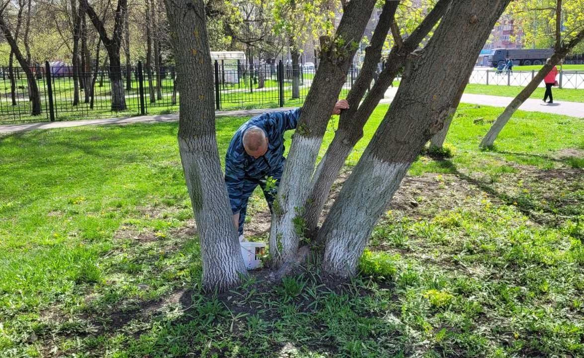 Благоустрой. Апрель 2024