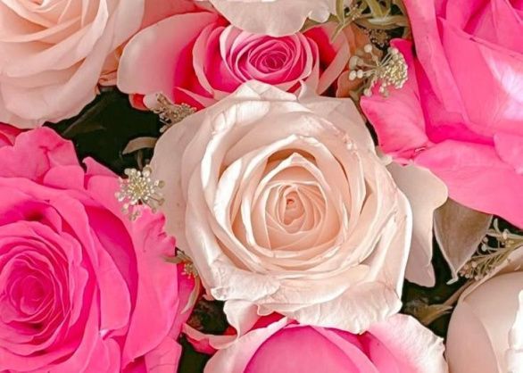 Поздравляем  с Днём работника культуры!