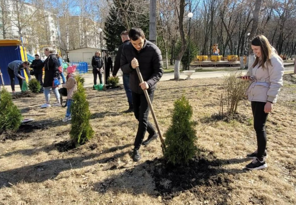 Масштабная акция по озеленению