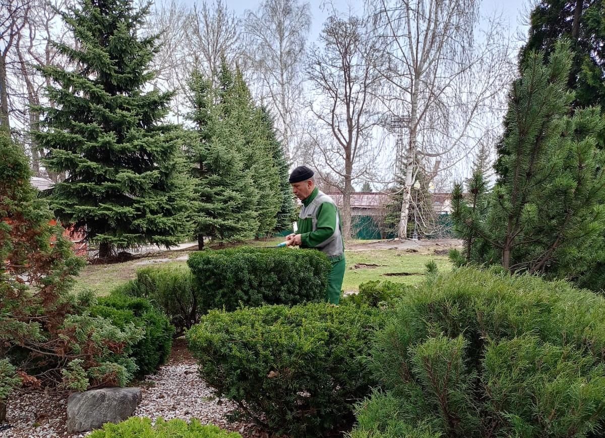 Благоустройство. Май. 2025