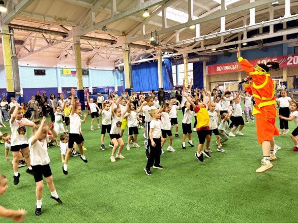 Развлекательная игровая программа