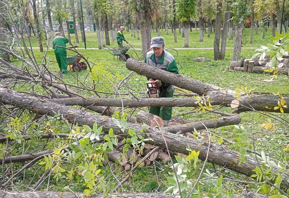 Благоустройство. Сентябрь 2025